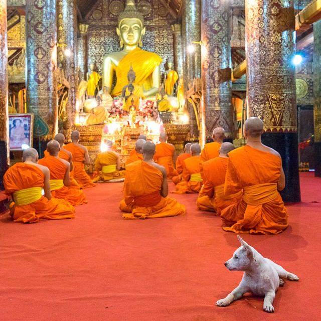 10932525_761408887277922_1551012053_n