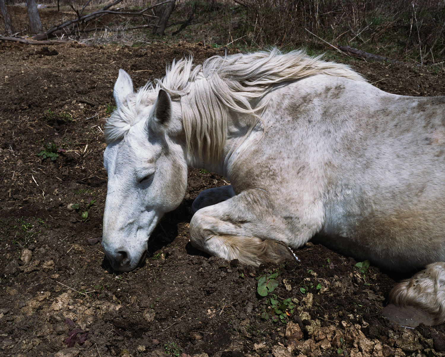 10-Charlotte-Dumas-Onuma-Hokkaido-2015